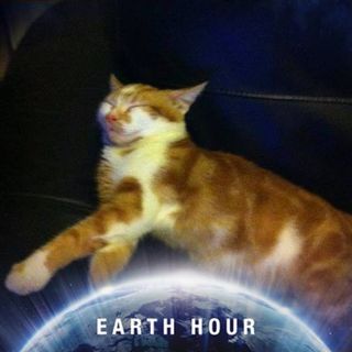 Sarah Andrews's avatar