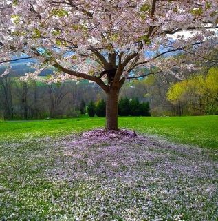 Kamrul Hassan's avatar