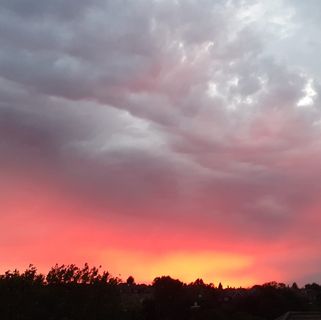 Carrie Rollinson's avatar