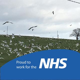 Maz Williams's avatar