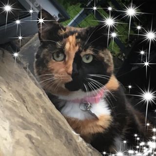 Donna-Marie Worsley's avatar