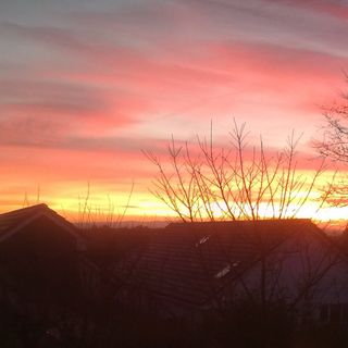 Louise Carroll's avatar