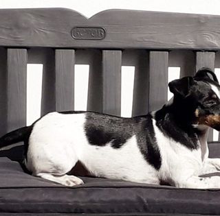 Linda Temple's avatar