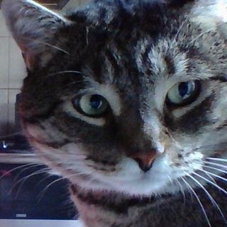 Sandra Wright's avatar