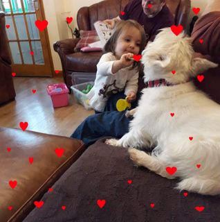 Cherie Gardner's avatar