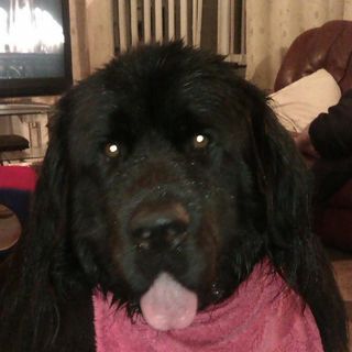 David Riley's avatar