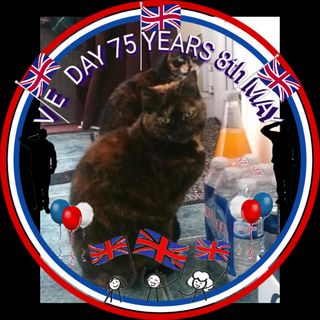 Pippa Anne Watt's avatar