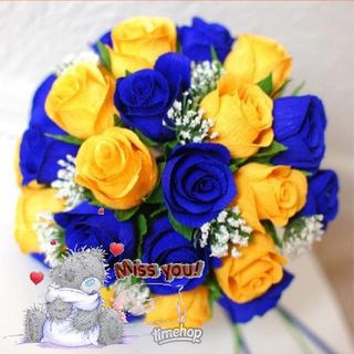 Sarah Hunter's avatar