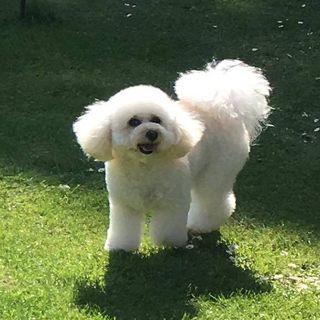 Barbara Reynolds's avatar