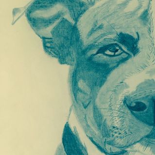 Louise Davies's avatar