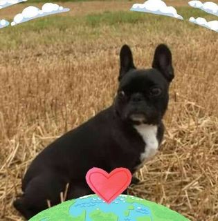 Brian Fiddes's avatar