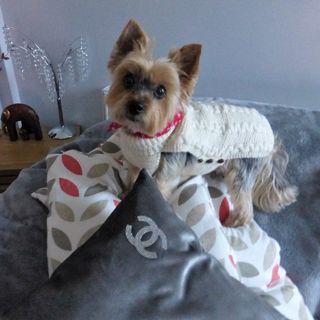 Ann Roberts's avatar