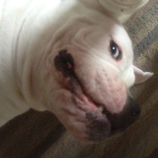 Jacqui Keleher's avatar