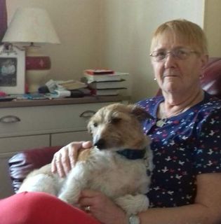 Valerie Morecroft's avatar