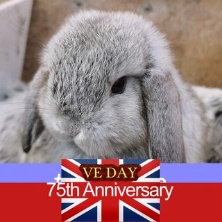 Wendy Titler's avatar