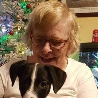 Elaine Lewis's avatar