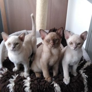 Janice Riddle's avatar