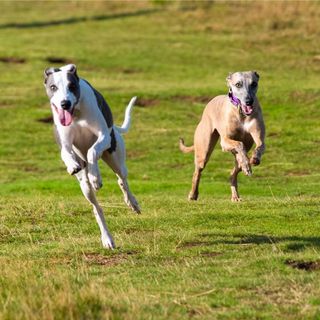 Deborah Powell's avatar