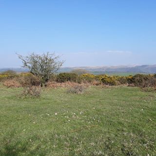 Ian Johnston's avatar