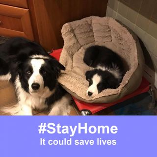 Paul Ballard's avatar