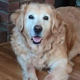 Deidre Bell's avatar