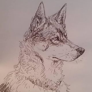 Stuart Reynolds's avatar