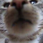 Andy Shand's avatar