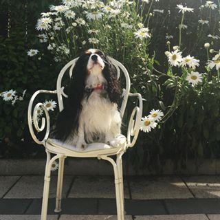 Marie Donnelly's avatar