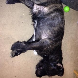 Andy Gayden's avatar