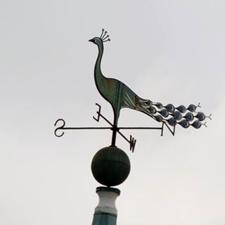 Dory Lavette's avatar