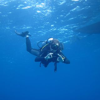 David Evans's avatar