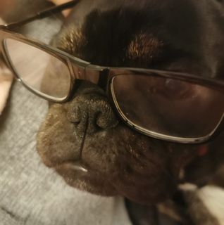 Dominic Elton's avatar