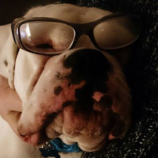 Andrew Chapman's avatar