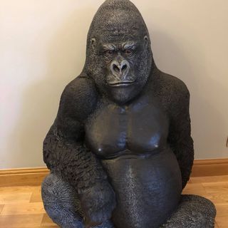 Ian Duncan-Lewis's avatar