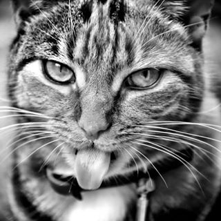 Kama Derewacz's avatar