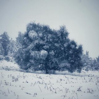 David Smart's avatar