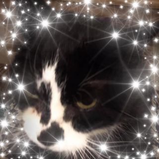 Carey Workman's avatar