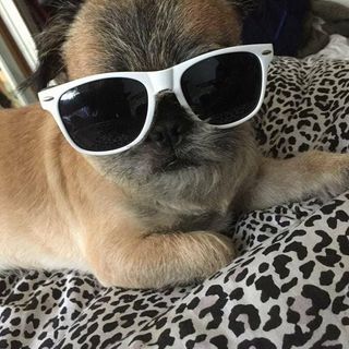 Mark S A Thomas's avatar