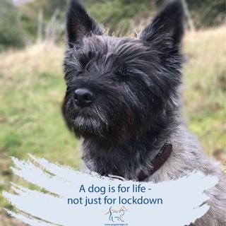 Louise Ross's avatar