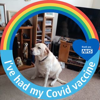 Sheila Sargent's avatar