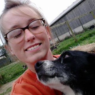 Vicky Howard's avatar