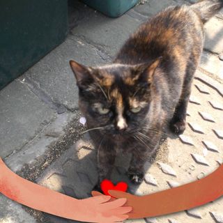 Susan Leeson's avatar