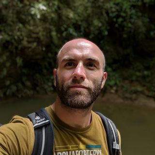 El Sayer's avatar