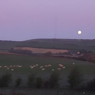 Mike Sizer-Green's avatar