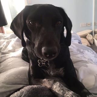 Donna Fredriksen's avatar