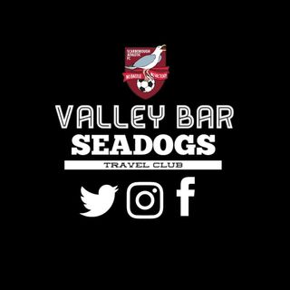 Valley Bar Seadogs's avatar