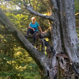 Allison Perkins's avatar