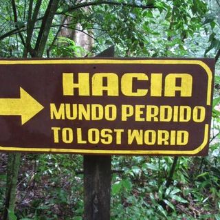 Helen Bendell's avatar