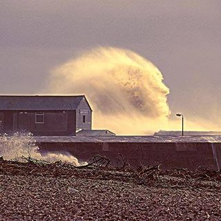 Libby Turner's avatar