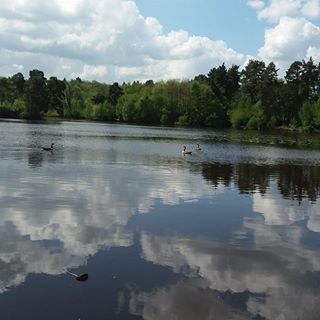 Davella Short's avatar